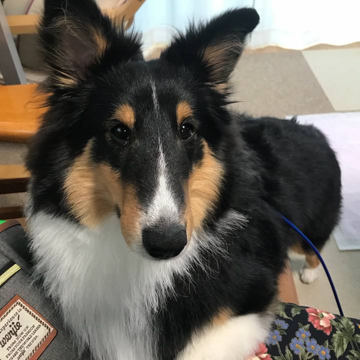 78253634 96cb 4e65 a5a7 037293e9589f 1524606944945