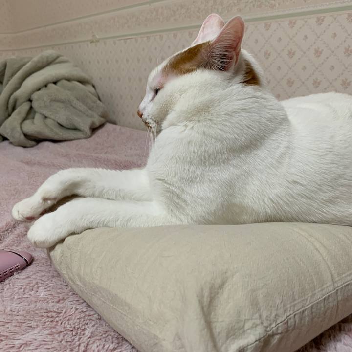 78255749 527e 4ab6 bdaa c700636872e1 1643287607320