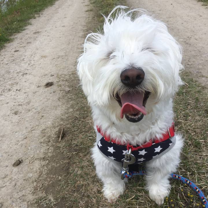 782567e8 0c0a 4eb0 813a 8f7da1630876 1556990668146