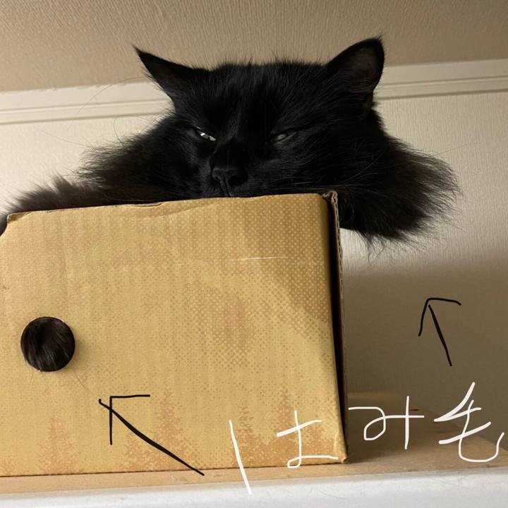 782578f2 d69d 4511 9a3a e767ac1a6b8b 1577624446182