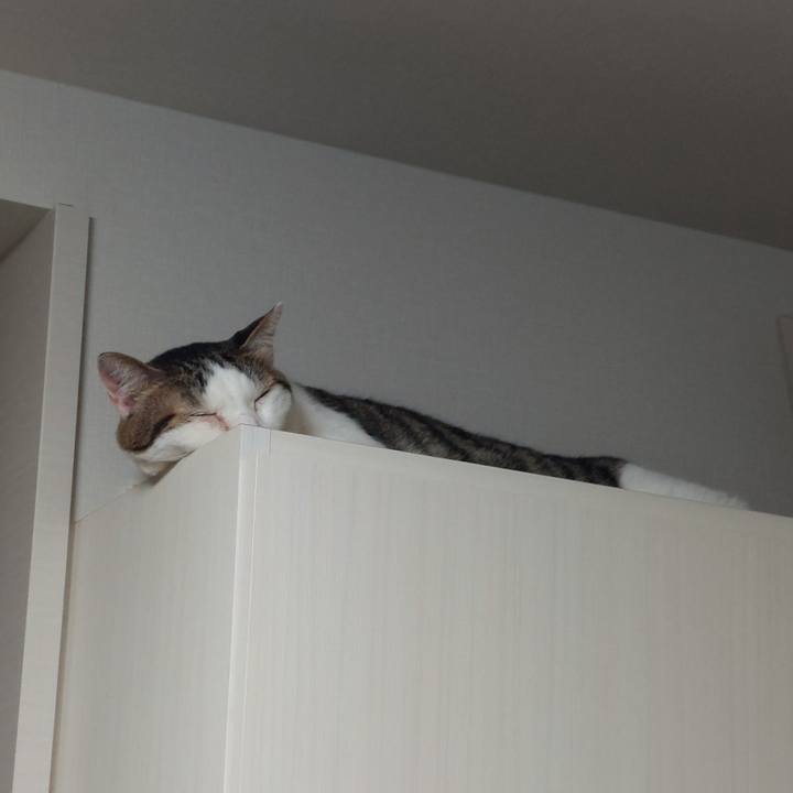 7825927a c6f0 4308 8a57 465556ddc732 1662589430806