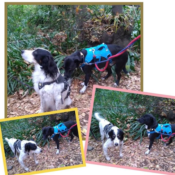 782598cd fe6a 46f4 ae3f 22f1e7ed9974 1606178395735