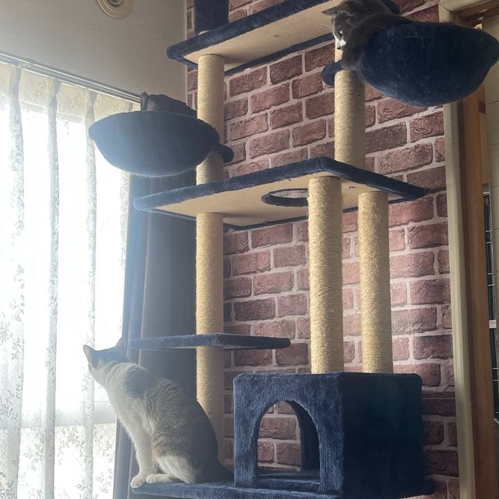 78259c68 0635 4d31 9818 871b1cfc1fbb 1629000935407