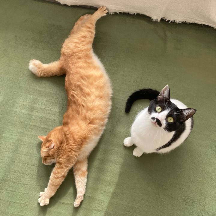 7825a134 0a29 40cc 8972 e3a876bfdf98 1771030807111