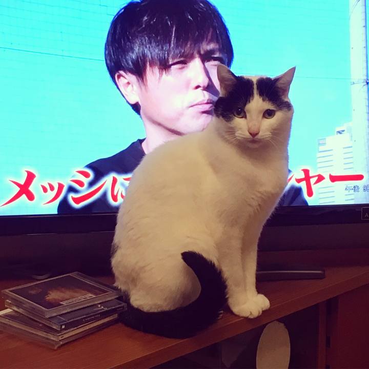 7825b133 8058 4943 aeb6 a241648d281c 1587135088498