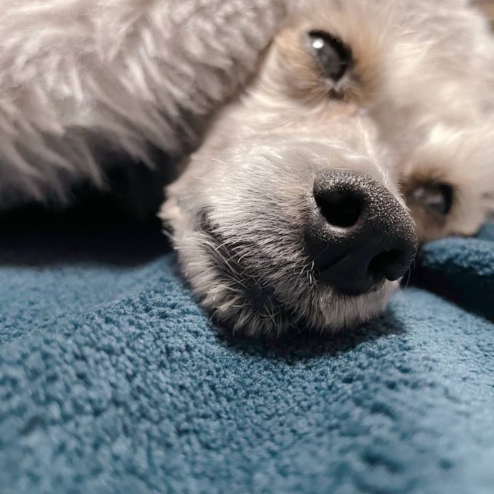 7825d336 ad28 4c1b 8b5e cfd2c4b8ffdf 1769159554819