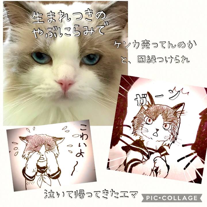 7825f2ae 8118 4c9f bd4f 8fb3b7775e8a 1619780580732