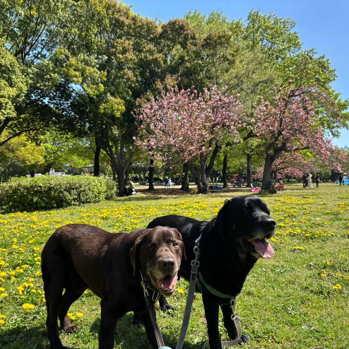 782612dc 584d 48ba b491 58ef3f880158 1776166198837