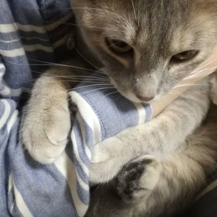 78266d90 a058 4ecf 92a9 2d59c3370f85 1510099100921