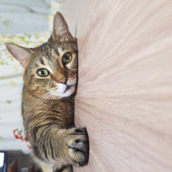 7826ae0f 08f6 45e4 b727 37b21f3034b3 1579608466037