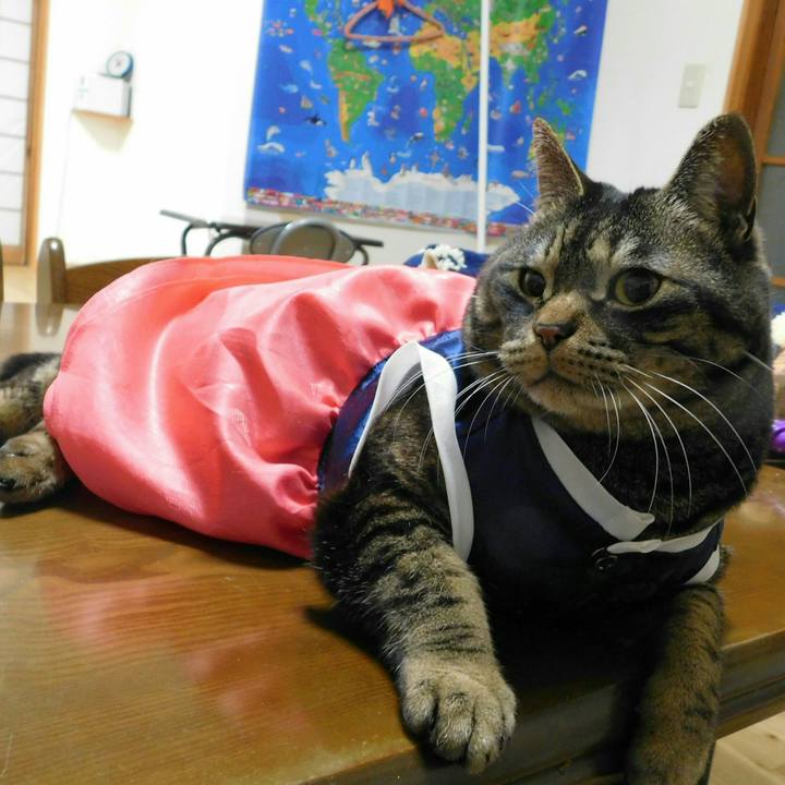 782700c4 8afd 420f 91db 8522aedc9ae8 1555413285720