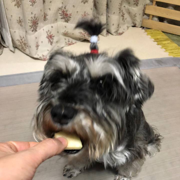 78271a08 f70b 423c 9dbf 451af70d6e5b 1621775092003