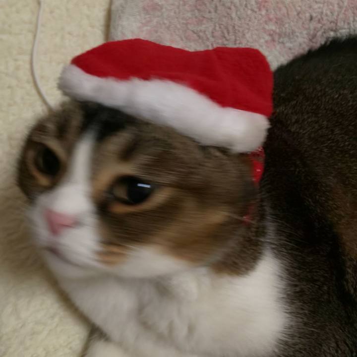 78271a7e ce97 4c9d ab21 0587697aee5d 1640317338784