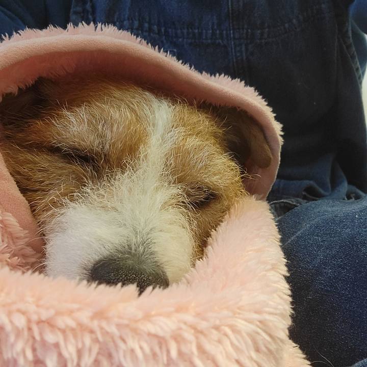 782746ea da8b 4b8c 8481 5d1a99118c00 1677308798918