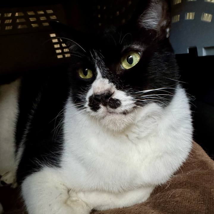 78278120 01cc 4062 84d8 6a1d83c1705b 1759449683611