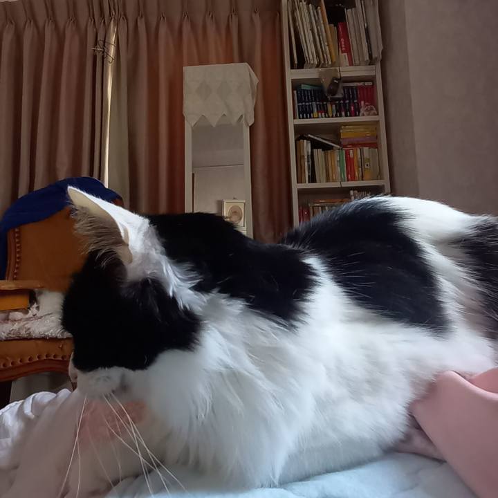 7827d79f f33a 415f 9db2 02e5da2b986d 1681336232580