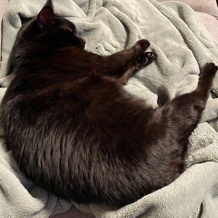 78282ffb 9458 4751 aa30 76b92fc93dc9 1673510666065