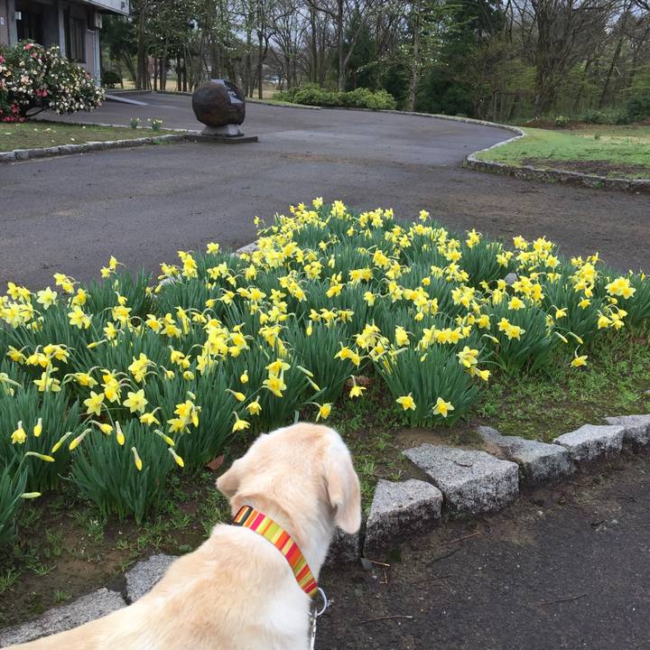 782830fa 4618 44a2 b375 73cbf7de2a8d 1523834356839