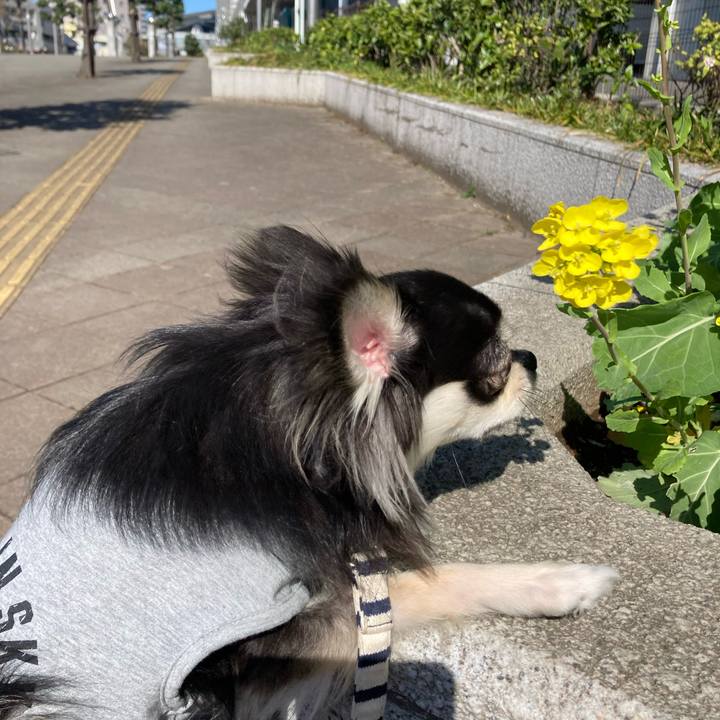 78285364 b0ac 414a afe9 08425101718d 1615702823131