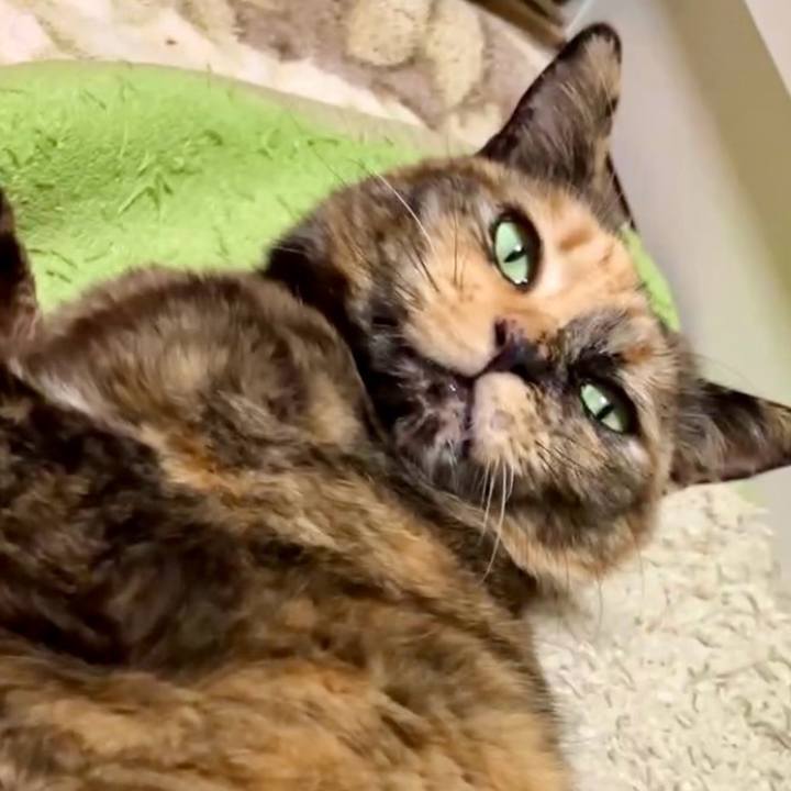 78287a2c da37 483c b7a0 ef1783805a15 1739266030293