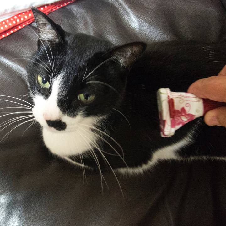 78288e44 dcbe 4f2f 9b5b cffe3b756f66 1527117632487