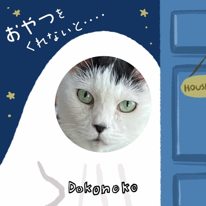 7828de5d f05c 4c71 a651 b6d390b68d8d 1729082912000