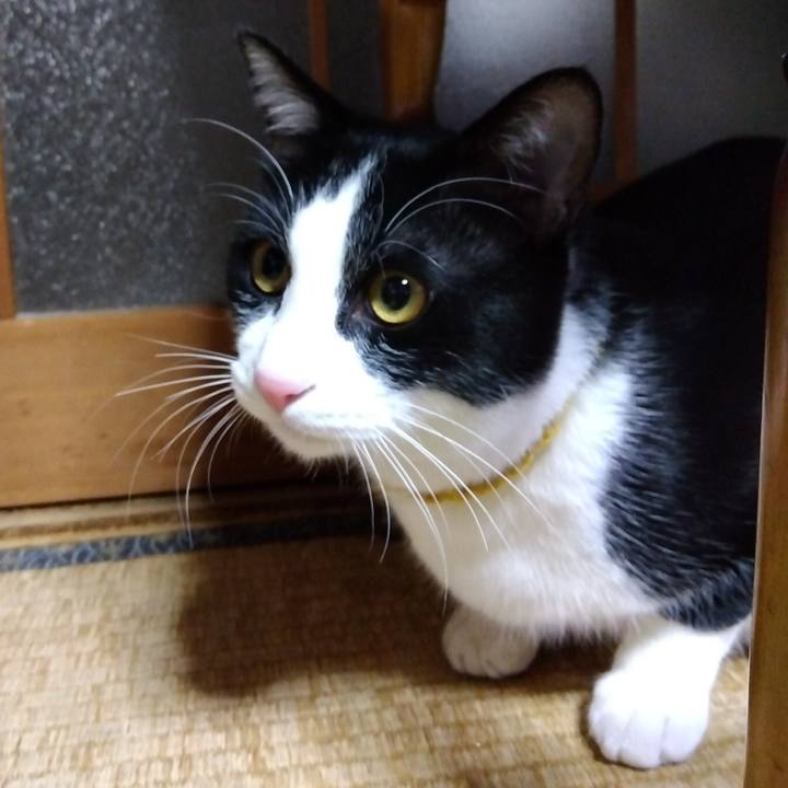 7828e06a 5ab1 423c 936a 90084729990e 1646039958916