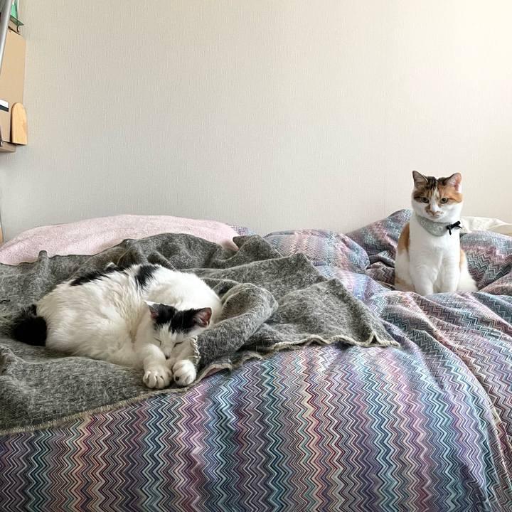 7828e3e4 6723 4caf 9e9f 09526aea0c93 1667951360258