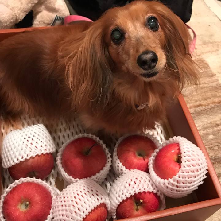 7828ebaa 3584 4393 a76b e64c11e97d16 1577000589186