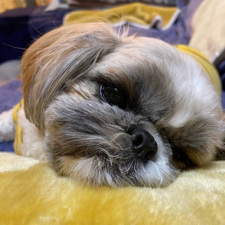 78291ec6 b5bd 425e b74d e6027355d5a6 1673840305651