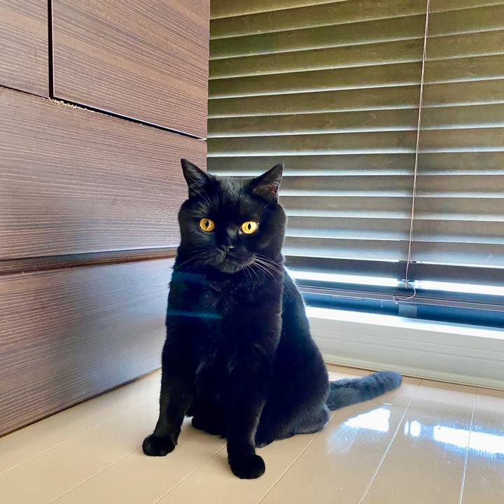 78293976 9fe3 4bfb b021 c437bbf675f3 1600135346630