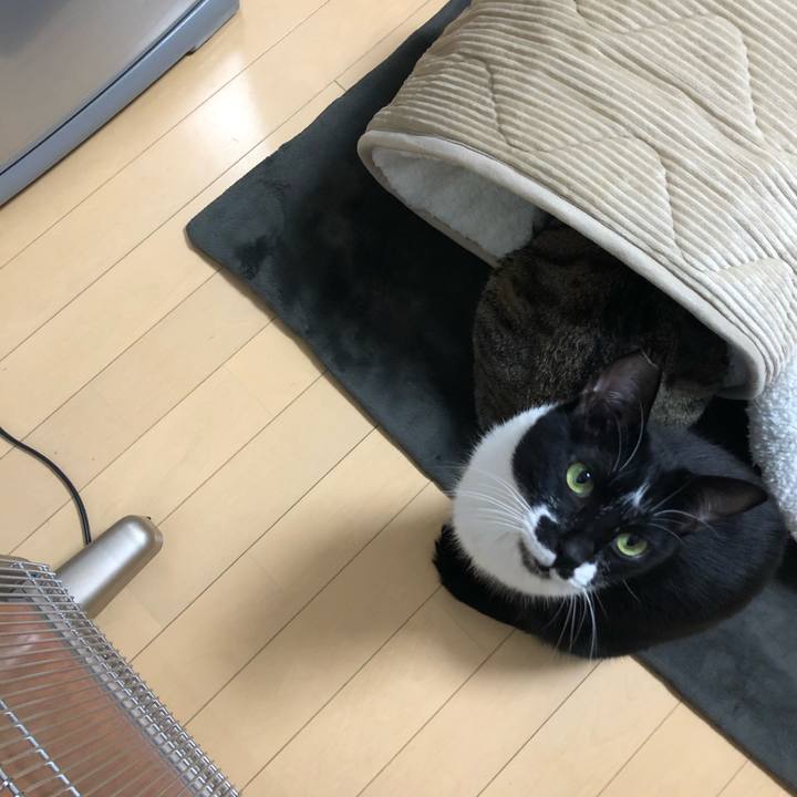 78293bd3 4054 4023 a6c3 dafd36b884b4 1577526710599