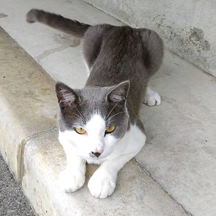 782942df 706c 494d 8281 890e804c95f1 1596410438737