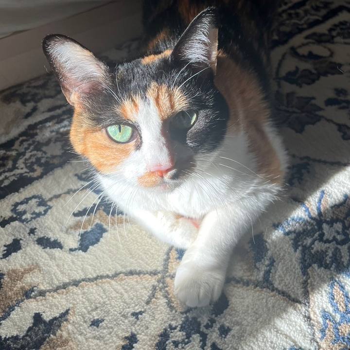 782978b8 57d4 4d68 bf8e 4e827a0ee9bc 1697931423424