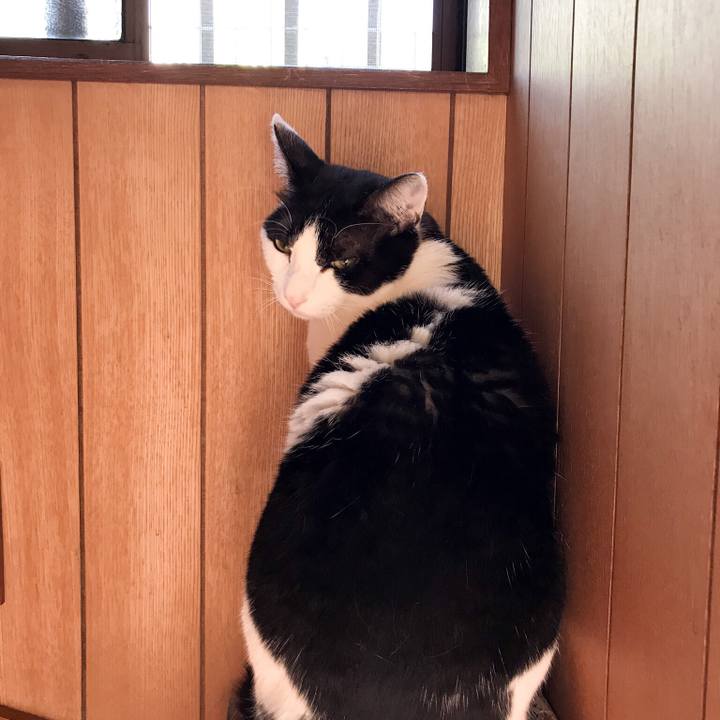 782989fa 8b08 4adb aa21 15c036e8e159 1528037025724