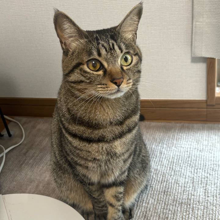 7829cdfa 5d6c 4fb0 a3fb 542325c3567a 1763687876158