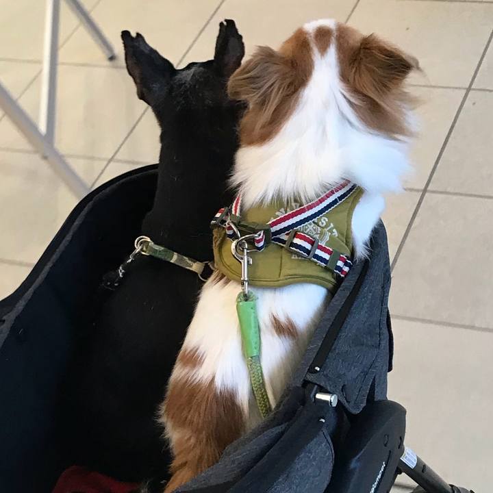 7829ea02 1870 4e4a 9459 f61708252b19 1569209179164