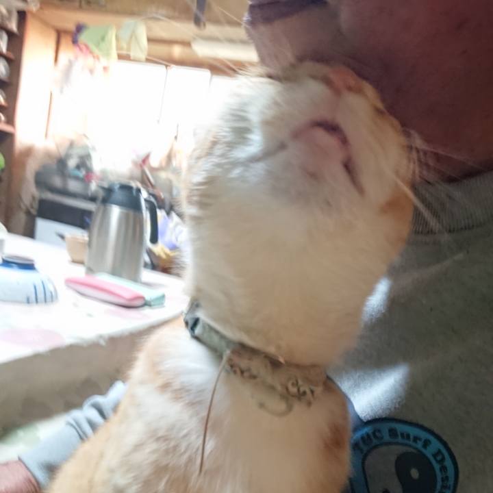 7829f8f2 d7e3 4836 93e9 2b0d62179ba5 1591733605279