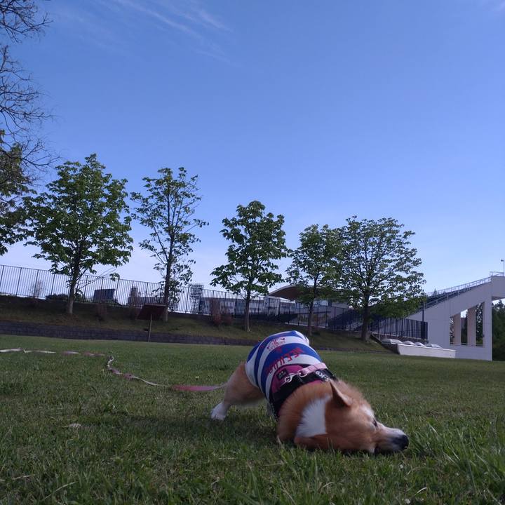 782a4488 0699 4272 9205 9a572ddf4bb7 1652010028073