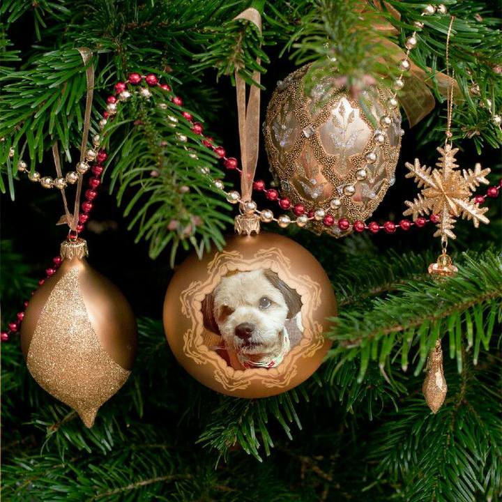 782a4f3f f99f 4857 b379 7420dc16df9e 1513475909270