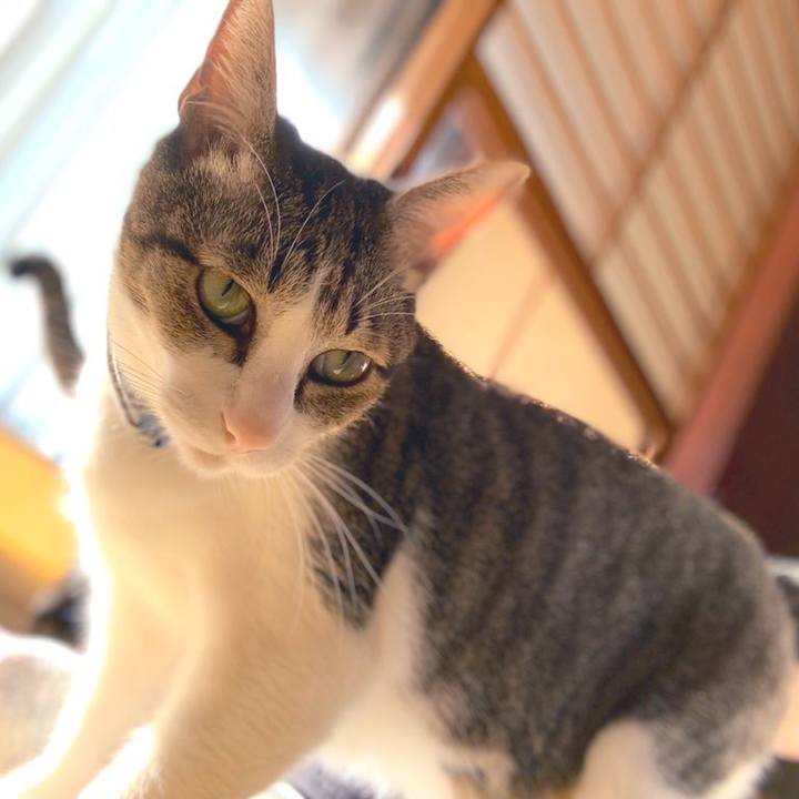 782a8a7f 3ad6 4d93 94ac 448e8422d55f 1571101476509