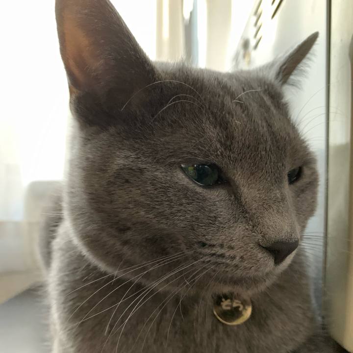 782a8a9b 49b9 4888 b6ad a2cf58987976 1582180012399