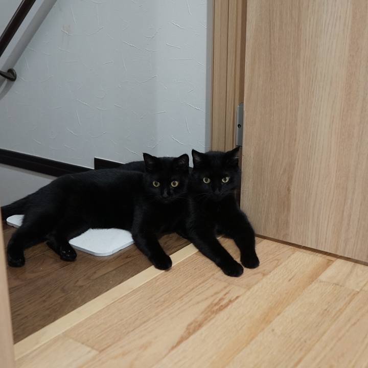 782a8f48 f134 4443 a957 306cf216c389 1564961115422