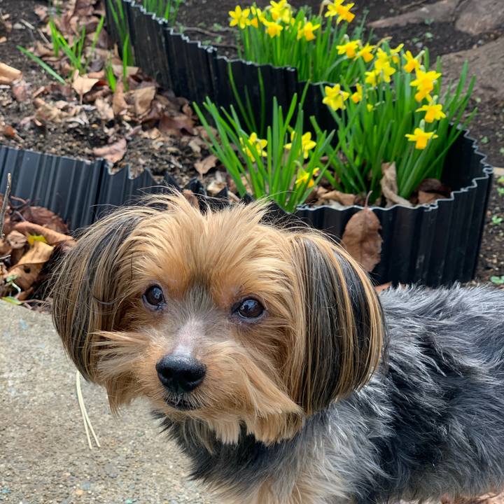 782a91f3 3a39 4a09 ab57 d6201504efbc 1583718639818