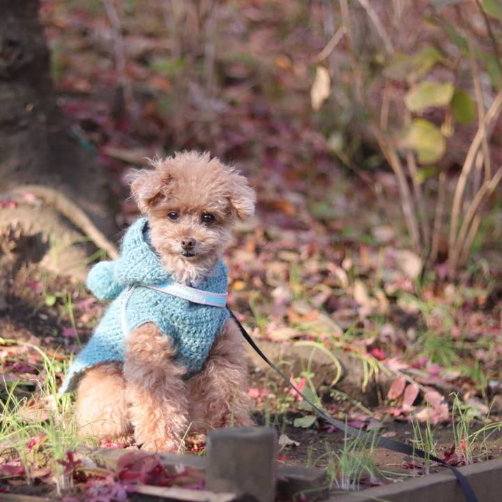 782a97e3 d2fb 45df 9ce6 a6e292a22d6a 1665060610735