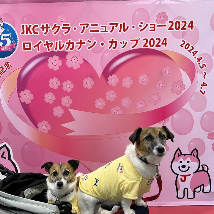 782b14c4 00bd 4b03 a32b 0ed8eecabac9 1712455319231