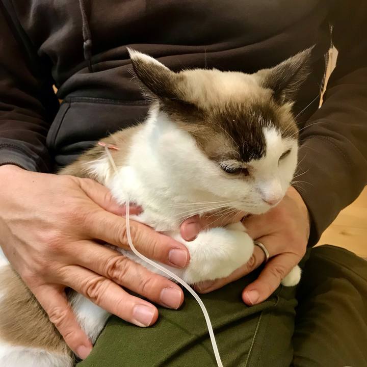 782b590a 1804 4d07 84eb 105041876dce 1606655789043