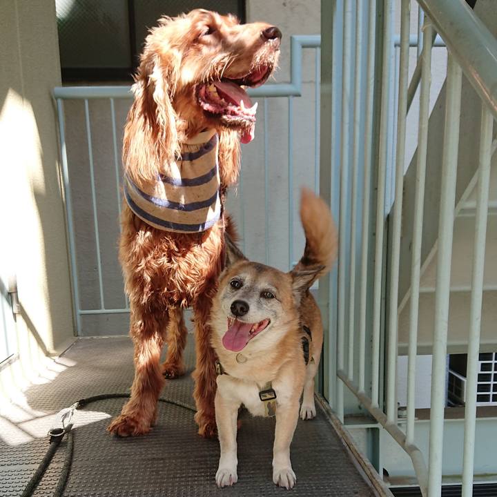 782b7503 2acf 41a0 8c2e 4bf25d48e089 1586094586787