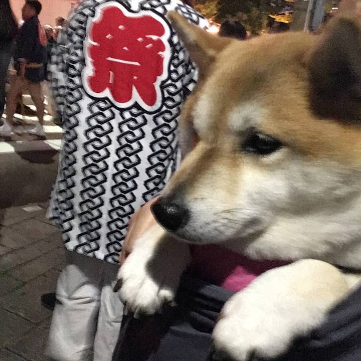 782b9756 85dd 46f2 a0d6 0ebe5c1b46a9 1570960930911