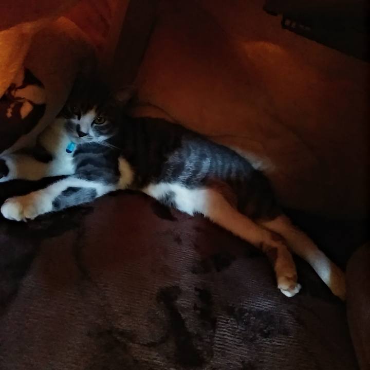 782bf07f 16f6 49d1 ada6 ca2241439a59 1574996935454